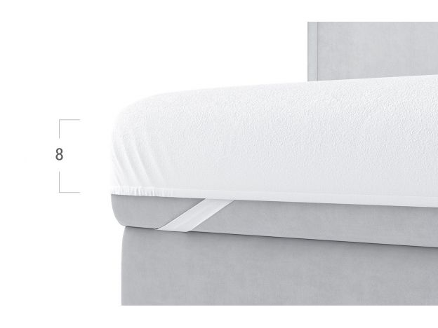 Защитный чехол MOON FAMILY PROTECT 2009 (фото 289503)