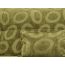 шенилл cucumber green